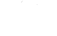 Big Guys Home Inspections